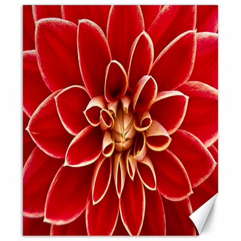 Red Dahila Canvas 20  x 24  (Unframed) from ArtsNow.com 19.57 x23.15  Canvas - 1