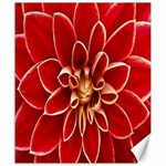 Red Dahila Canvas 20  x 24  (Unframed)