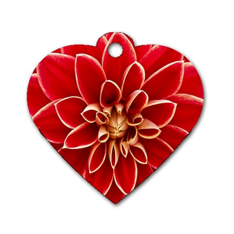 Red Dahila Dog Tag Heart (Two Sided) from ArtsNow.com Front