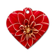 Red Dahila Dog Tag Heart (Two Sided) from ArtsNow.com Front