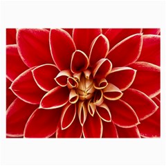 Red Dahila Glasses Cloth (Large, Two Sided) from ArtsNow.com Back