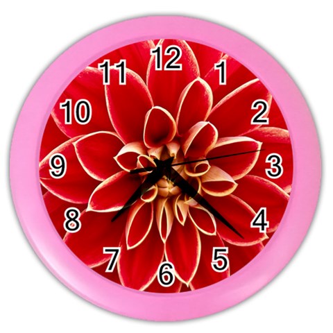 Red Dahila Wall Clock (Color) from ArtsNow.com Front