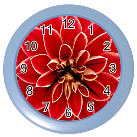 Red Dahila Wall Clock (Color) from ArtsNow.com Front