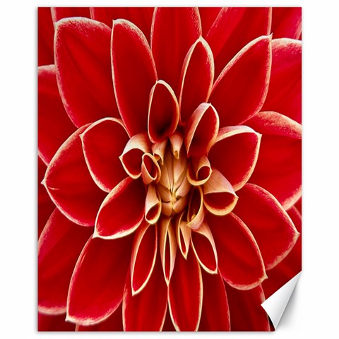 Red Dahila Canvas 11  x 14  (Unframed) from ArtsNow.com 10.95 x13.48  Canvas - 1