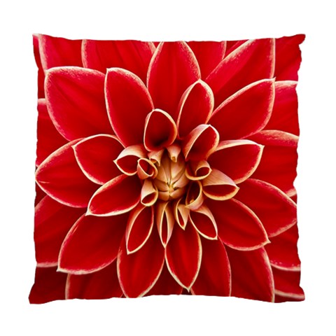 Red Dahila Cushion Case (Single Sided)  from ArtsNow.com Front