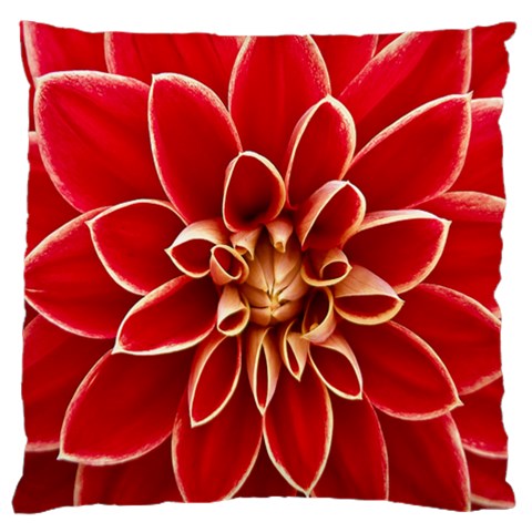 Red Dahila Large Cushion Case (Single Sided)  from ArtsNow.com Front