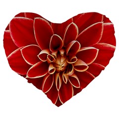 Red Dahila 19  Premium Heart Shape Cushion from ArtsNow.com Back