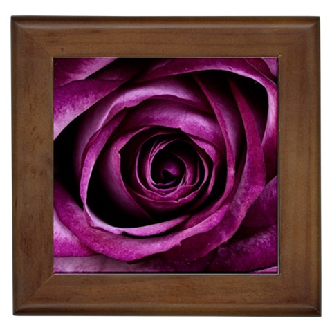 Deep Purple Rose Framed Ceramic Tile from ArtsNow.com Front