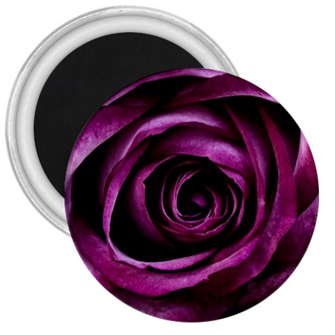 Deep Purple Rose 3  Button Magnet from ArtsNow.com Front