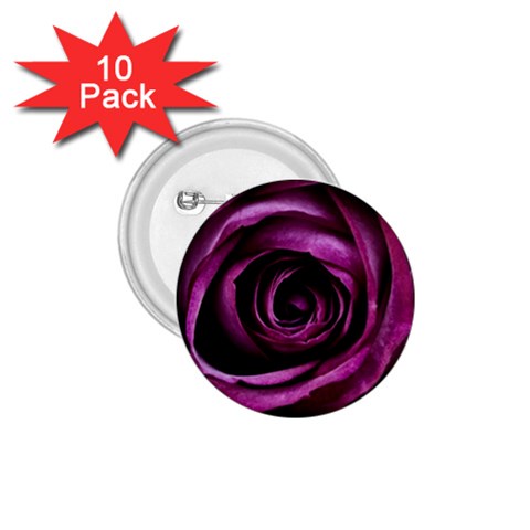 Deep Purple Rose 1.75  Button (10 pack) from ArtsNow.com Front