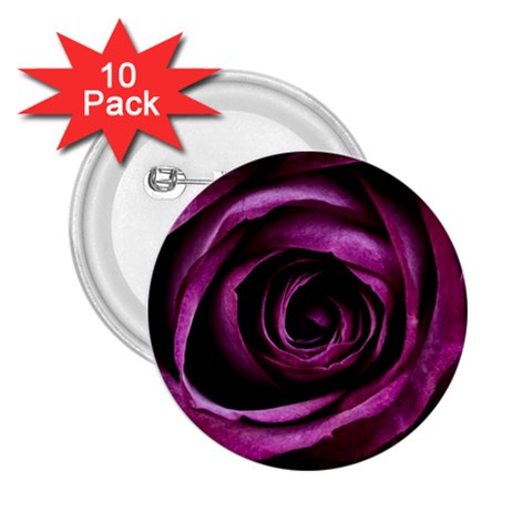 Deep Purple Rose 2.25  Button (10 pack) from ArtsNow.com Front