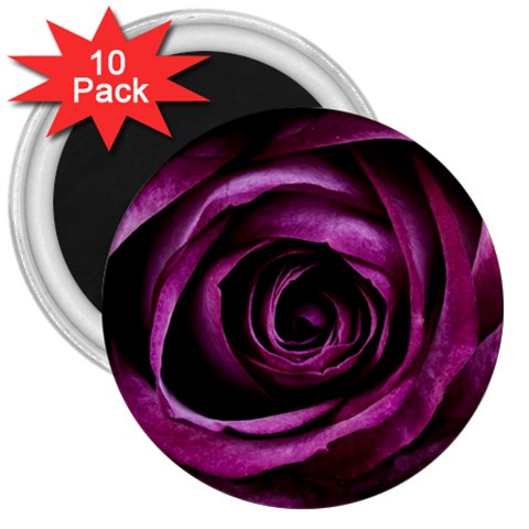 Deep Purple Rose 3  Button Magnet (10 pack) from ArtsNow.com Front