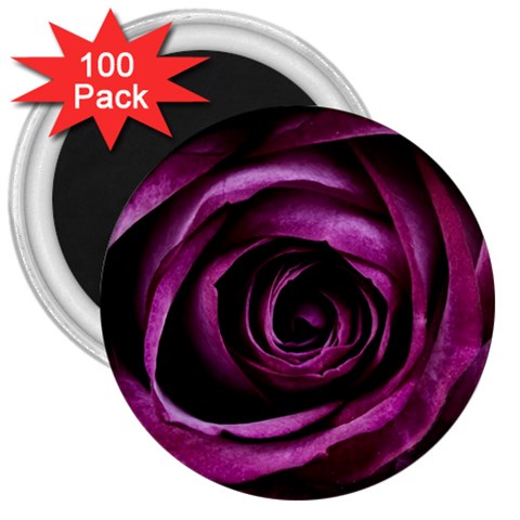 Deep Purple Rose 3  Button Magnet (100 pack) from ArtsNow.com Front