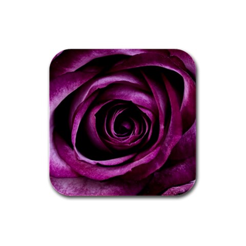 Deep Purple Rose Drink Coasters 4 Pack (Square) from ArtsNow.com Front