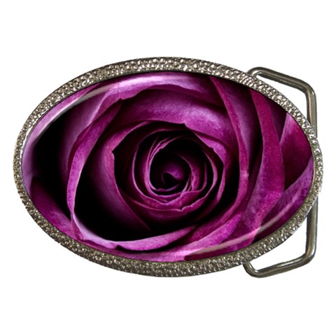 Deep Purple Rose Belt Buckle (Oval) from ArtsNow.com Front