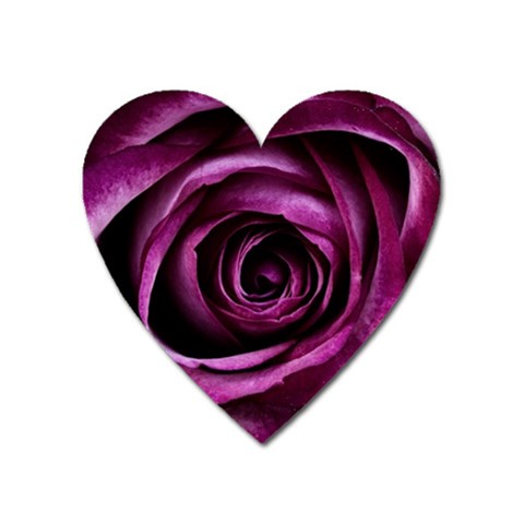 Deep Purple Rose Magnet (Heart) from ArtsNow.com Front