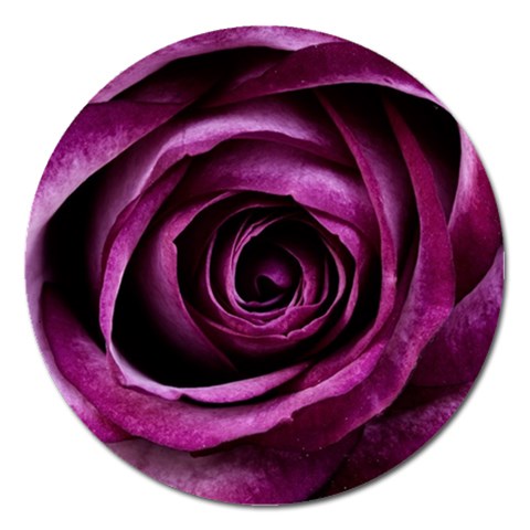 Deep Purple Rose Magnet 5  (Round) from ArtsNow.com Front