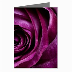 Deep Purple Rose Greeting Card from ArtsNow.com Left