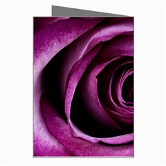 Deep Purple Rose Greeting Card from ArtsNow.com Right