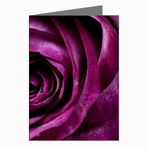 Deep Purple Rose Greeting Card (8 Pack) from ArtsNow.com Left