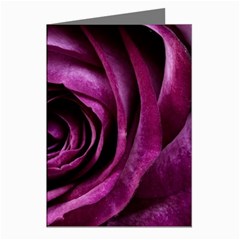 Deep Purple Rose Greeting Card (8 Pack) from ArtsNow.com Left