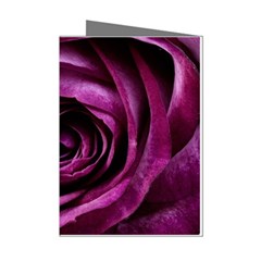 Deep Purple Rose Mini Greeting Card (8 Pack) from ArtsNow.com Left