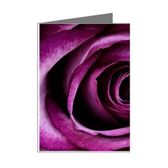 Deep Purple Rose Mini Greeting Card (8 Pack) from ArtsNow.com Right