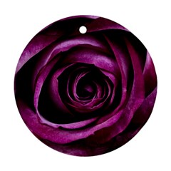 Deep Purple Rose Round Ornament (Two Sides) from ArtsNow.com Front