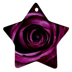 Deep Purple Rose Star Ornament (Two Sides) from ArtsNow.com Front