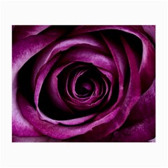 Deep Purple Rose Glasses Cloth (Small, Two Sided) from ArtsNow.com Back