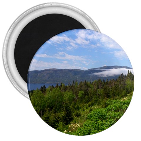 Newfoundland 3  Button Magnet from ArtsNow.com Front