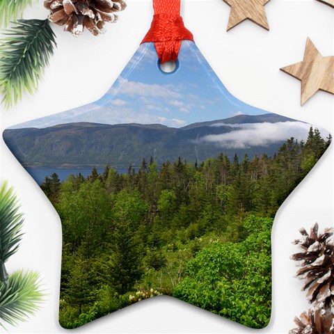 Newfoundland Star Ornament from ArtsNow.com Front