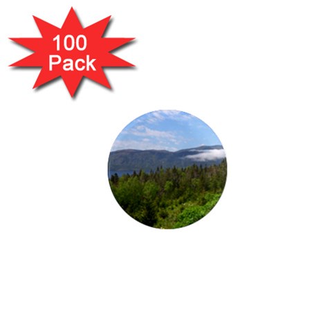 Newfoundland 1  Mini Button Magnet (100 pack) from ArtsNow.com Front