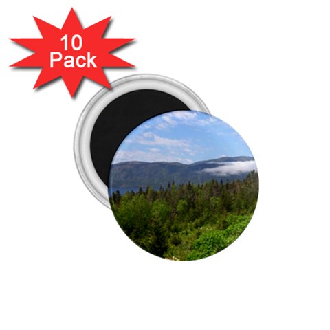 Newfoundland 1.75  Button Magnet (10 pack) from ArtsNow.com Front