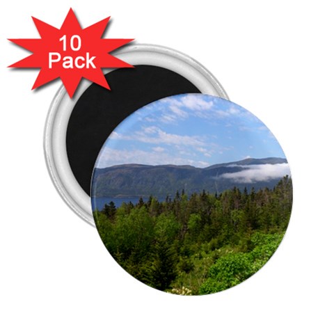 Newfoundland 2.25  Button Magnet (10 pack) from ArtsNow.com Front