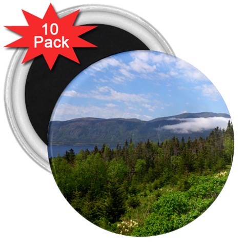 Newfoundland 3  Button Magnet (10 pack) from ArtsNow.com Front