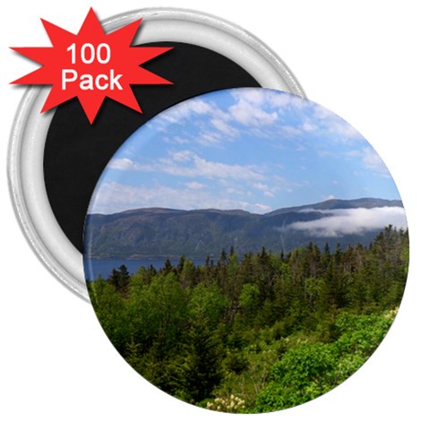 Newfoundland 3  Button Magnet (100 pack) from ArtsNow.com Front