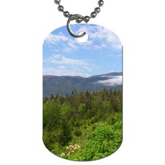 Newfoundland Dog Tag (Two Front