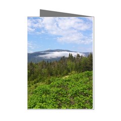 Newfoundland Mini Greeting Card (8 Pack) from ArtsNow.com Left