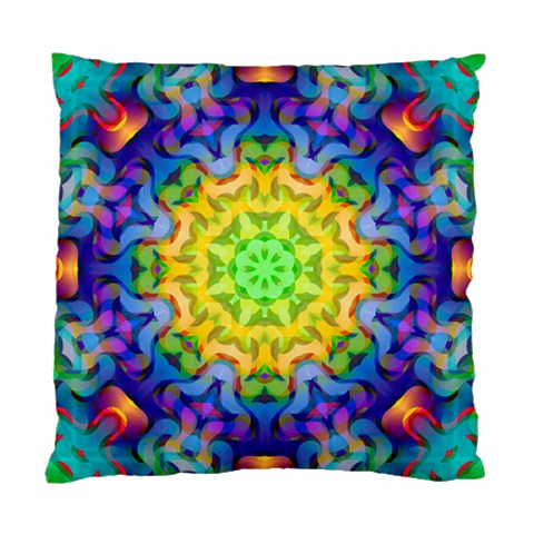 Psychedelic Abstract Cushion Case (Single Sided)  from ArtsNow.com Front