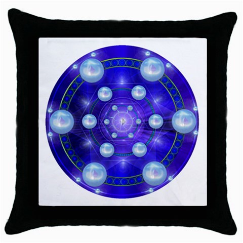 Blueprint Throw Pillow Case (Black) from ArtsNow.com Front