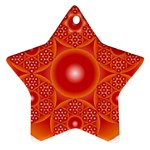 Cause  n Effect Ornament (Star)