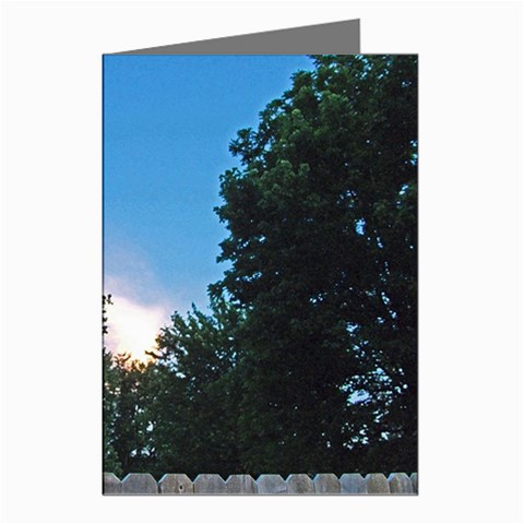 Coming Sunset Accented Edges Greeting Card (8 Pack) from ArtsNow.com Left