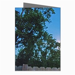 Coming Sunset Accented Edges Greeting Card (8 Pack) from ArtsNow.com Right