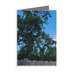 Coming Sunset Accented Edges Mini Greeting Card (8 Pack) from ArtsNow.com Right