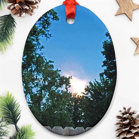 Coming Sunset Accented Edges Oval Ornament (Two Sides) from ArtsNow.com Back