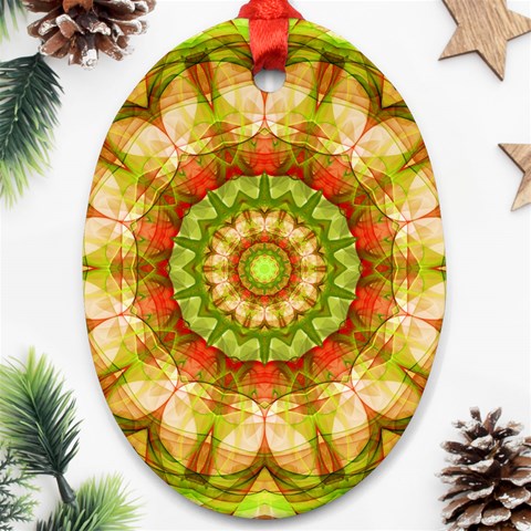 Red Green Apples Mandala Oval Ornament from ArtsNow.com Front