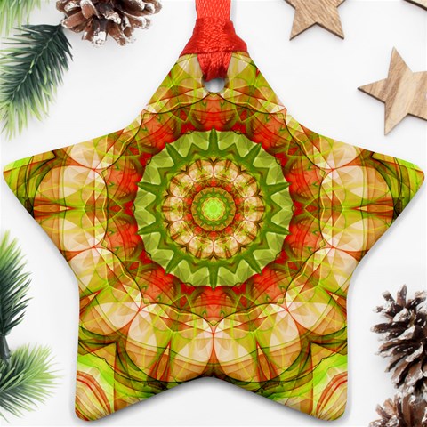 Red Green Apples Mandala Star Ornament from ArtsNow.com Front