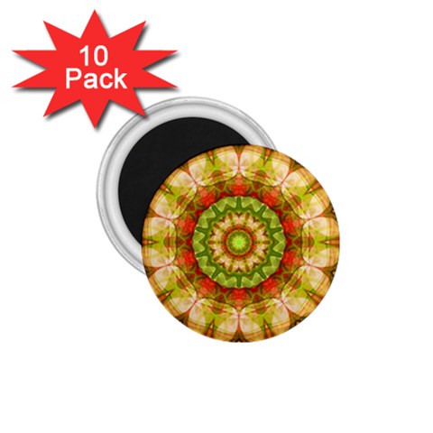 Red Green Apples Mandala 1.75  Button Magnet (10 pack) from ArtsNow.com Front