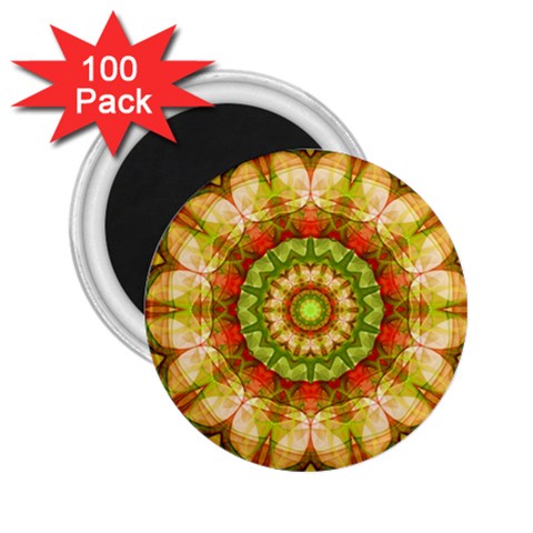 Red Green Apples Mandala 2.25  Button Magnet (100 pack) from ArtsNow.com Front